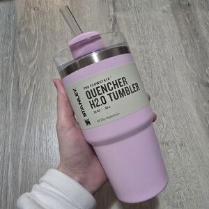 Stanley 20 oz Quencher Pink Tulle Target Exclusive